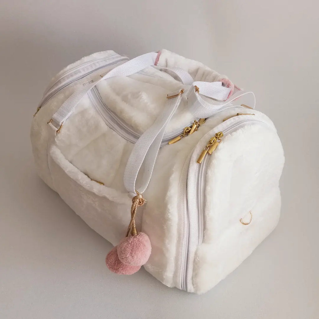 Pet carrier Travel box white winter