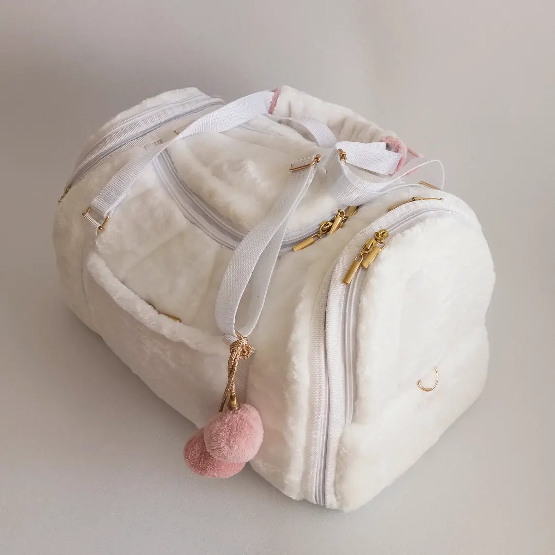 Pet carrier Travel box white winter